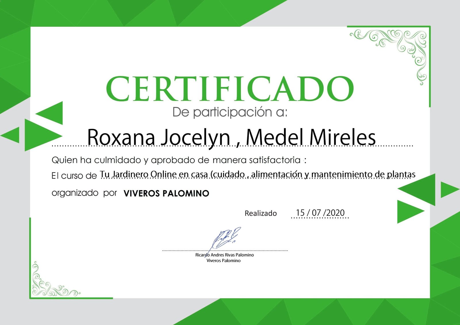 certificado punto logico.cdr